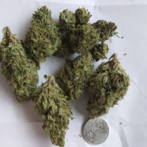 Sour Diesel online kaufen