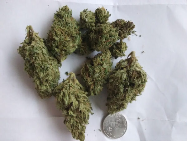 Compre Sour Diesel en línea