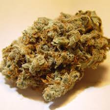 Buy Jack Flash Sativa