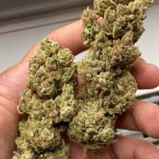 comprar bio cannabis ao ar livre | A +++++ bio cannabis online online