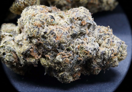 Buy Baklava Strain Online