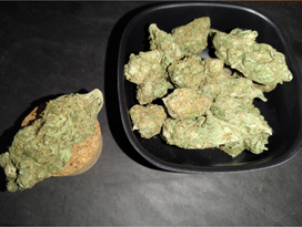 Buy Orang Bud Online