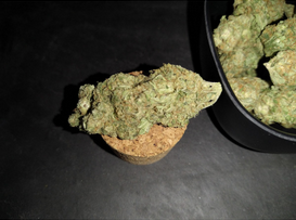 Buy Orang Bud Online