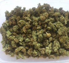 Buy Green Nuggets Kush