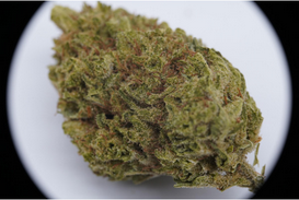 Buy Peach Cobbler Kush