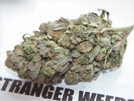 Buy Sunset Sherbert Kush