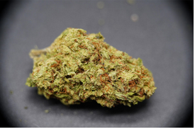 Buy Cinderella-99 Kush Online