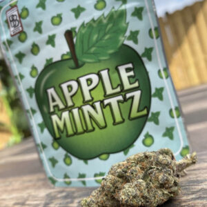 Buy Apple Mintz BackpackBoyz