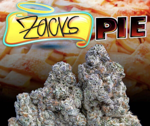 Buy Zacks Pie Jungle boys