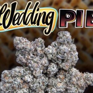 Buy Wedding Pie Jungleboys