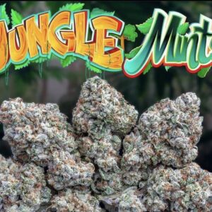 Buy Jungle Mints Jungle Boys