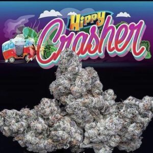 Buy Hippy Crasher Jungle Boys